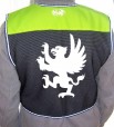 dragon3 back